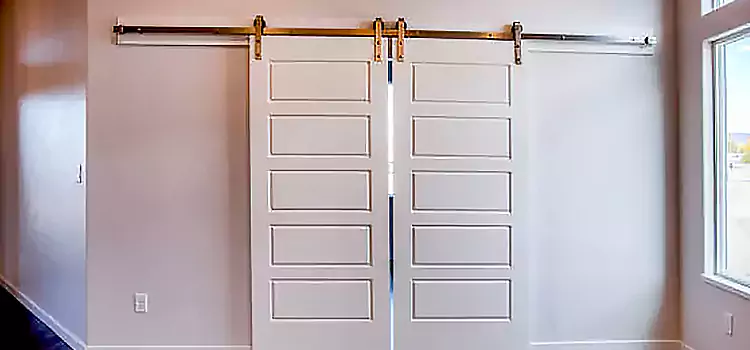 Glass Barn Door with Installation Hardware Kit Beverly Hills