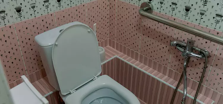 Meeting Diverse Needs With Accessible Restroom Solutions in Beverly Hills, CA