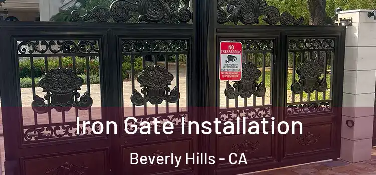 Iron Gate Installation Beverly Hills - CA